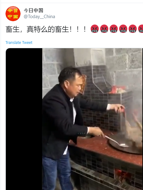 Video de maltrato animal en donde aparece una persona de rasgos asiáticos: en las redes sociales se ha dicho que "es chino y que es parte de su cultura comer perros"