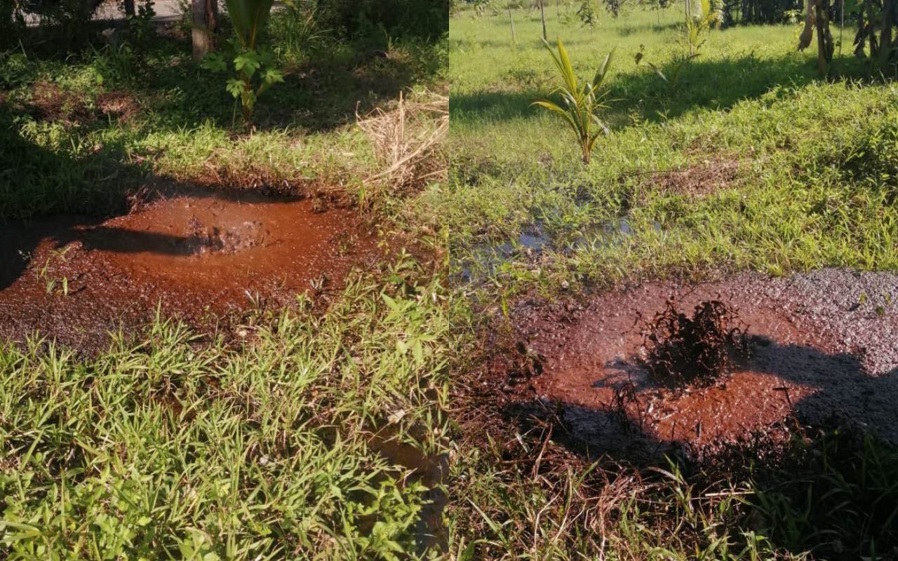 perforación abierta de petróleo de la empresa perenco en Tabasco, causa daño ambiental en México